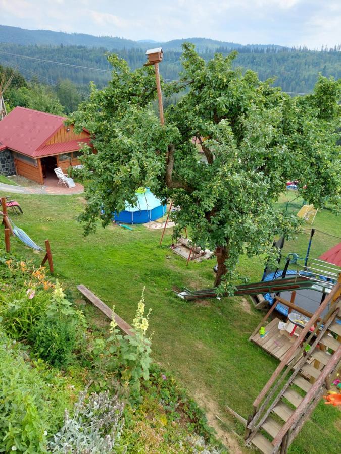 Domek Nad Lasem โคเนียคูฟ ภายนอก รูปภาพ