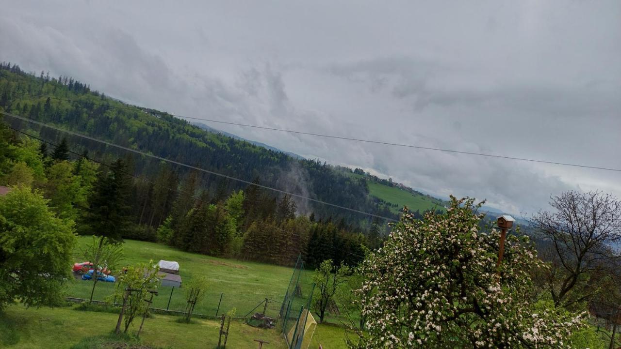 Domek Nad Lasem โคเนียคูฟ ภายนอก รูปภาพ